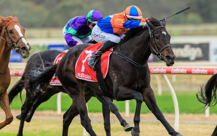 Racehorses sprinting down the track with jockeys leaning forward; front rider in orange and blue leads the pack.