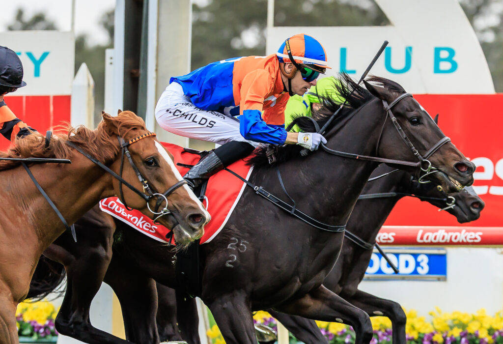 Jockey in orange and blue silks on a dark horse jumping a hurdle in a racecourse.