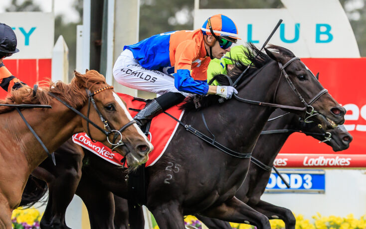 Jockey in orange and blue silks on a dark horse jumping a hurdle in a racecourse.