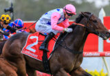Jockey in pink silks and helmet riding a brown racehorse with a Ladbrokes red saddlecloth during a race on a track.