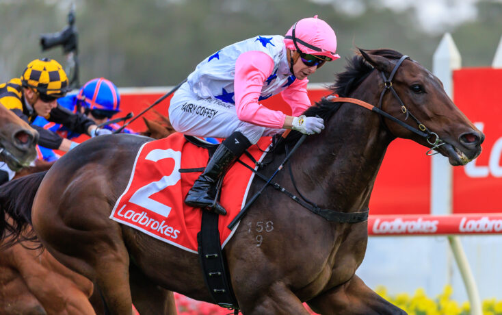 Jockey in pink silks and helmet riding a brown racehorse with a Ladbrokes red saddlecloth during a race on a track.