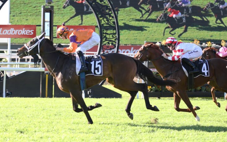 Horse race in progress with jockeys on numbered horses 15 and 4, racing under a decorative arch and a LADBROKES banner in the background.