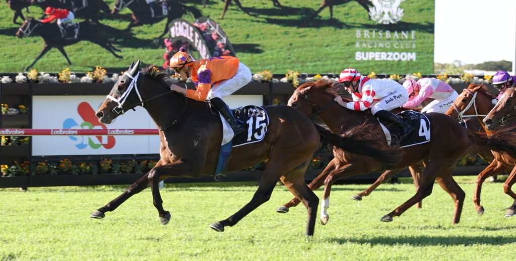 Leading racehorse with number 15, jockey in orange and purple silks, sprinting on a green turf track during a crowded race.