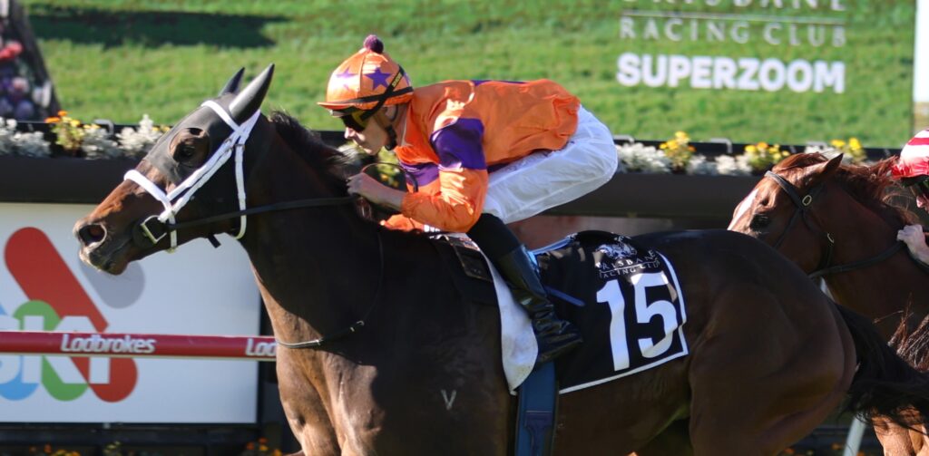Jockey in orange and purple silks rides a racing horse with number 15 on a blue saddle cloth during a race track event.