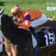Jockey in orange and purple silks rides a racing horse with number 15 on a blue saddle cloth during a race track event.