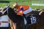 Jockey in orange and purple silks rides a racing horse with number 15 on a blue saddle cloth during a race track event.