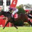 Three racehorses gallop side by side with jockeys in bright silks during a race, near red barriers and green turf.