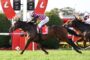 Three racehorses gallop side by side with jockeys in bright silks during a race, near red barriers and green turf.