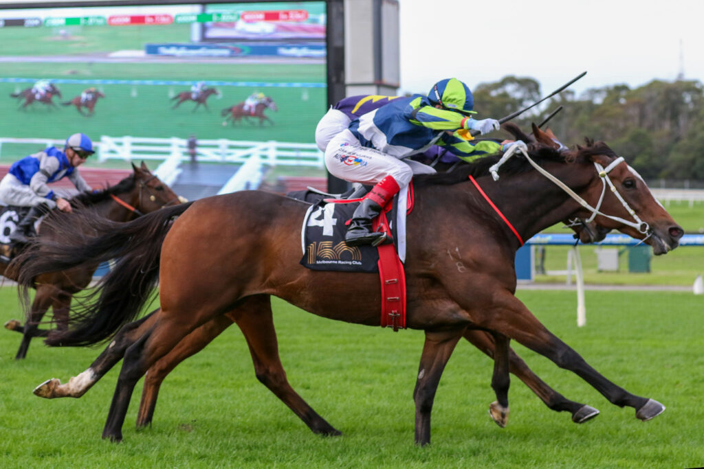 SANDOWN_23_5_2026 RACE 4 PUDDING (12) | Just Horse Racing Two racehorses sprint on a green turf track with jockeys in bright silks leaning forward for speed.