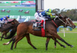 Two racehorses sprint on a green turf track with jockeys in bright silks leaning forward for speed.