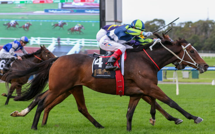 Two racehorses sprint on a green turf track with jockeys in bright silks leaning forward for speed.