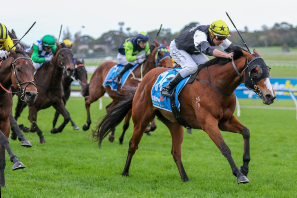 Jockeys on racing horses sprint on a grassy track during a horse race, colorful silks flying as they pull ahead.