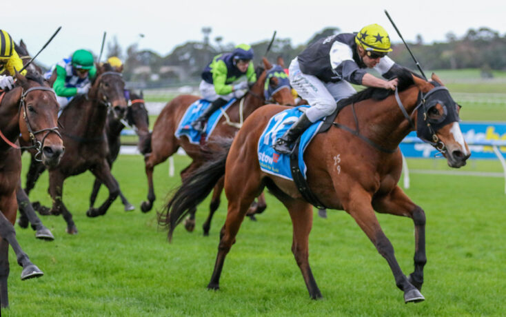 Jockeys on racing horses sprint on a grassy track during a horse race, colorful silks flying as they pull ahead.