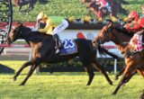 Jockey in yellow silks on a black horse near the finish line in a horse race.