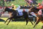 Jockey in yellow silks on a black horse near the finish line in a horse race.