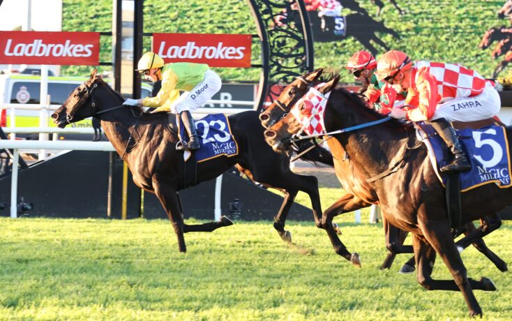 Horse race in progress on a sunny track; jockeys in colorful silks ride fast, with a red Ladbrokes banner in the background and a blue saddlecloth marked 23 on the leading horse.