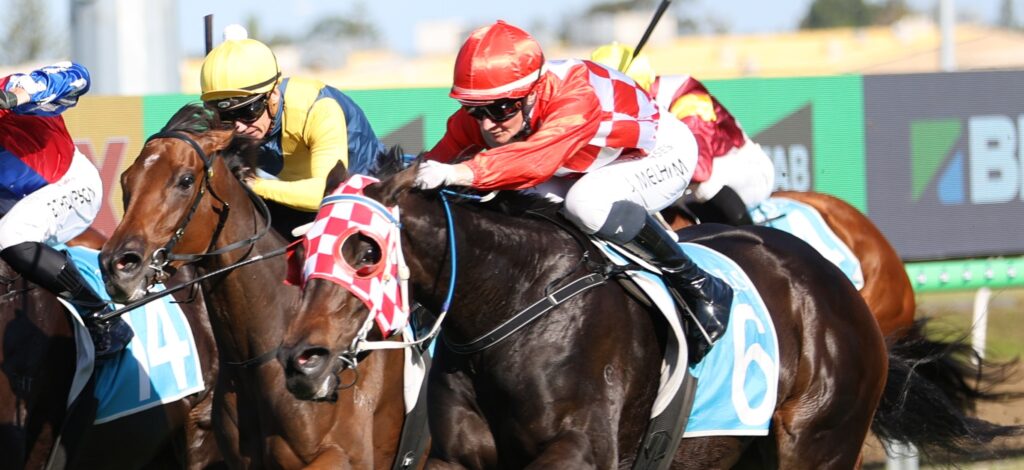 Group of jockeys in colorful silks neck-and-neck during a horse race on a dirt track, blades of turf flying.