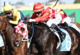 Group of jockeys in colorful silks neck-and-neck during a horse race on a dirt track, blades of turf flying.