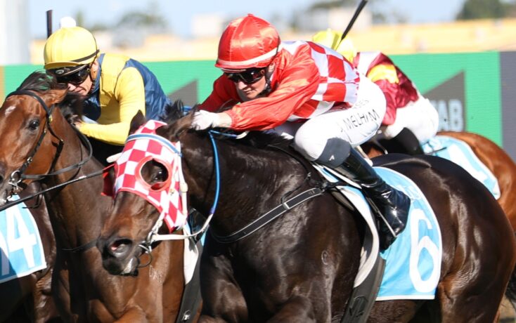 Group of jockeys in colorful silks neck-and-neck during a horse race on a dirt track, blades of turf flying.
