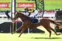 Jockey in yellow‑black checkered silks riding a brown horse over a jump on a racecourse with Ladbrokes banners in the background.