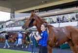 Woman in a blue polo leads a brown horse on a stadium turf, spectators in the background.