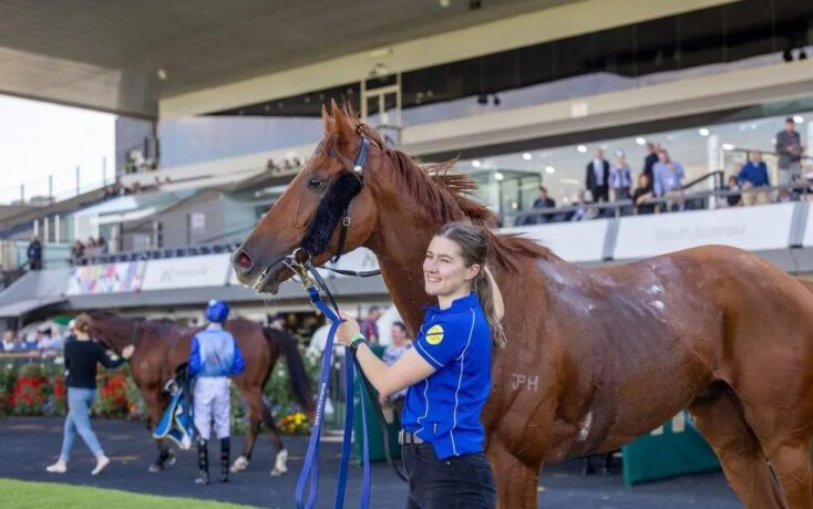 Woman in a blue polo leads a brown horse on a stadium turf, spectators in the background.
