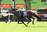 Jockey in green and yellow silks rides a dark horse with number 6 saddle cloth during a race, Ladbrokes banners in the background.