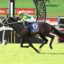 Jockey in green and yellow silks rides a dark horse with number 6 saddle cloth during a race, Ladbrokes banners in the background.