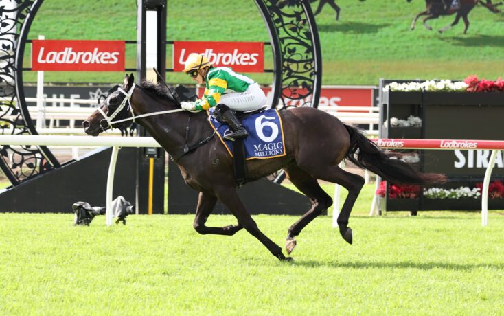 Jockey in green and yellow silks rides a dark horse with number 6 saddle cloth during a race, Ladbrokes banners in the background.