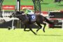 Jockey in green and yellow silks rides a dark horse with number 6 saddle cloth during a race, Ladbrokes banners in the background.