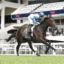 Jockey in blue-green silks riding a dark brown horse leaping over a turf racetrack with stadium stands and spectators in the background.