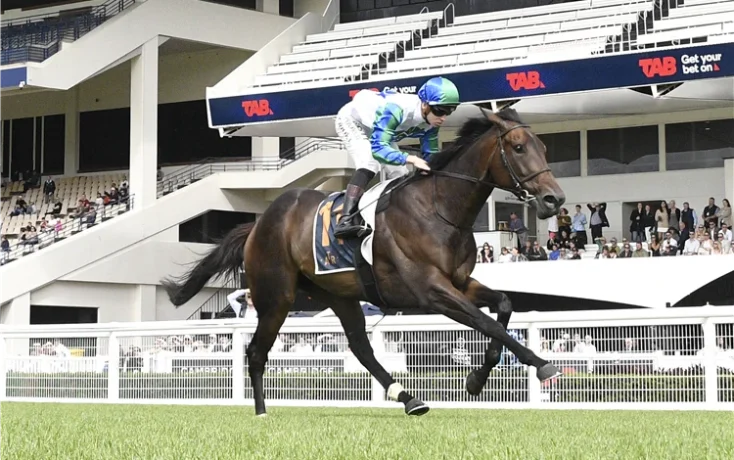 Jockey in blue-green silks riding a dark brown horse leaping over a turf racetrack with stadium stands and spectators in the background.