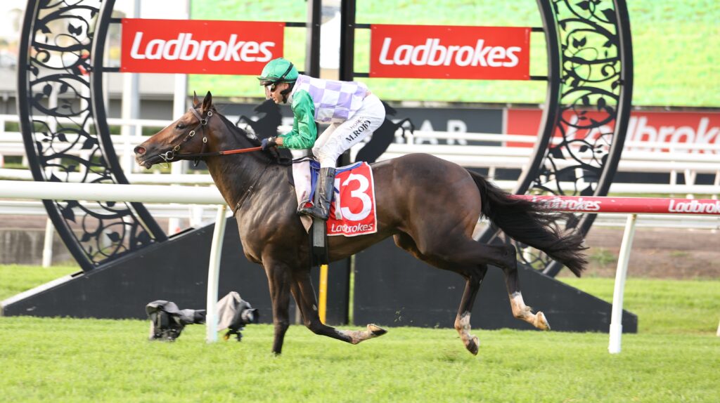 Victory Stakes 2027 Field, Tips, Betting Odds, Results