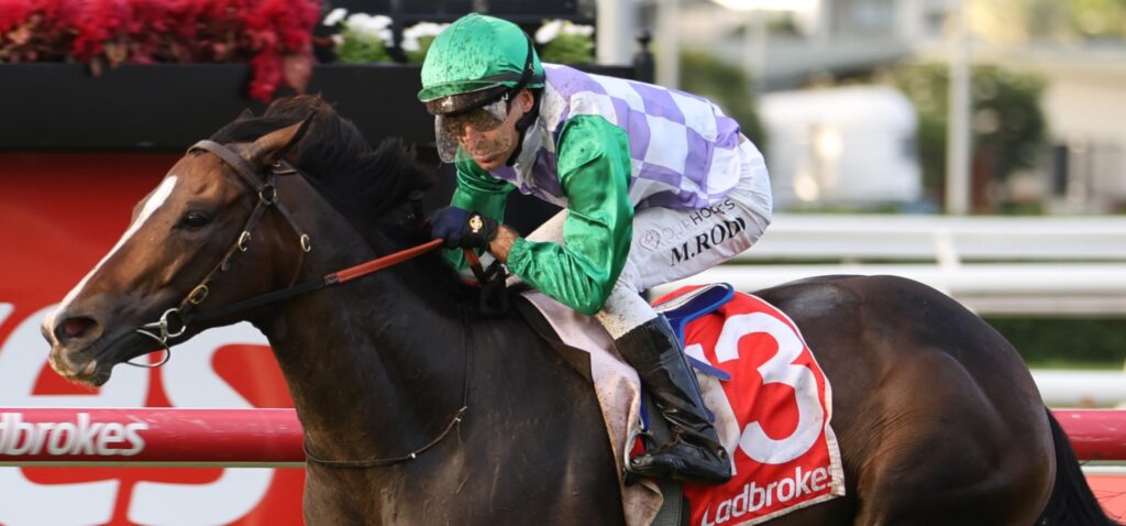 Jockey in green and purple silks riding a dark horse during a race, mud splattered on face and visor forward.