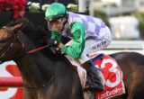 Jockey in green and purple silks riding a dark horse during a race, mud splattered on face and visor forward.