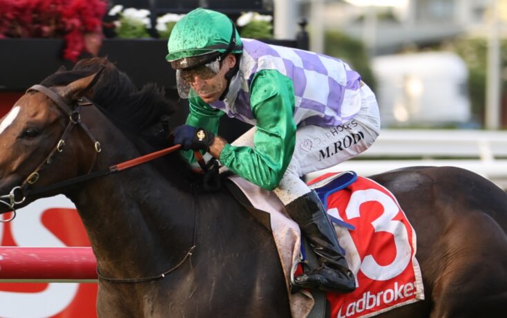 Jockey in green and purple silks riding a dark horse during a race, mud splattered on face and visor forward.