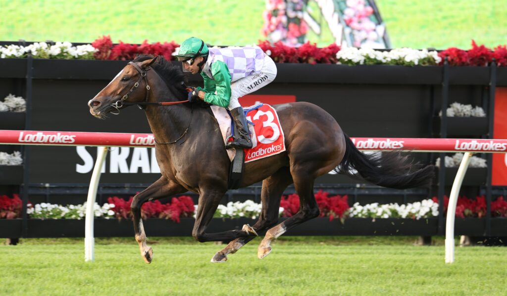 Horse and jockey in green and purple silks jump over a hurdle on a race track, red saddle cloth with number 3, Ladbrokes banners in the background
