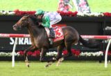 Horse and jockey in green and purple silks jump over a hurdle on a race track, red saddle cloth with number 3, Ladbrokes banners in the background