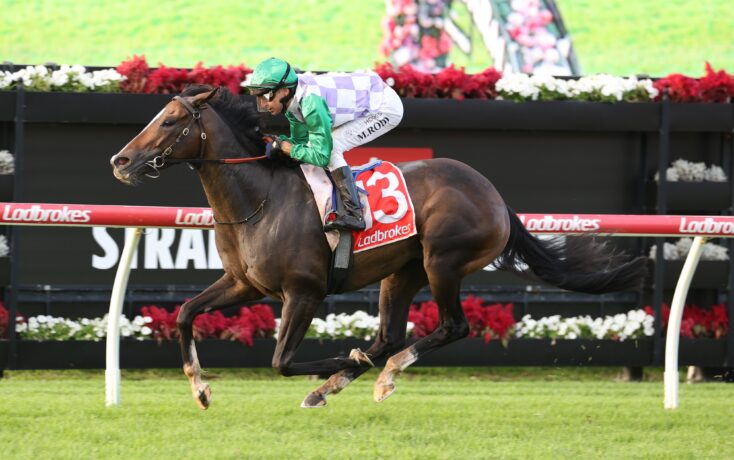 Horse and jockey in green and purple silks jump over a hurdle on a race track, red saddle cloth with number 3, Ladbrokes banners in the background