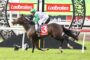 Jockey in green silks rides a dark bay horse over a hurdle at a Ladbrokes racecourse.