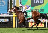 Jockey riding a brown horse with green saddle cloth (#4) racing past colorful flower barriers and a bright LED backdrop.