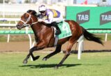 Jockey in purple-yellow silks riding a brown racehorse at full gallop on a grassy track with a TAB banner behind.