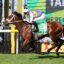 Jockey riding a brown horse with green saddle cloth (#4) racing past colorful flower barriers and a bright LED backdrop.
