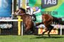 Jockey riding a brown horse with green saddle cloth (#4) racing past colorful flower barriers and a bright LED backdrop.