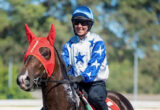 Jockey in blue helmet and star-patterned silks rides a dark horse wearing a red ear hood at a sunny racecourse.
