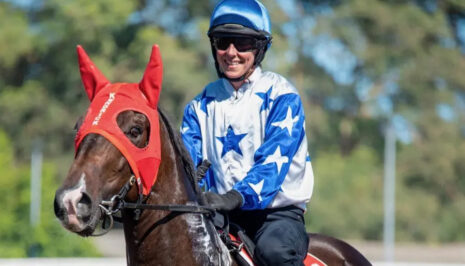 Jockey in blue helmet and star-patterned silks rides a dark horse wearing a red ear hood at a sunny racecourse.