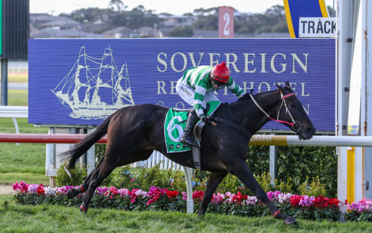 Jockey in green-and-white silks on a dark horse racing along a track beside a blue advertising board with flowers in the foreground.