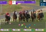 Group of horses racing on a turf track with riders in colorful silks; on-screen banners show Thoroughbred Central and Rockhampton 1300m. Leader: Cherry Rose at left; others close behind.