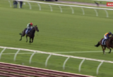 Three galloping horses on a grassy racetrack with jockeys in colorful silks; the lead horse is on the right. (Racing scene)