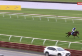 Two horses race on a green turf track with jockeys in blue-and-white and teal silks; Racing.com Live banner visible in top-right corner.